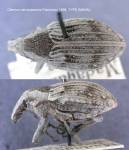 Female