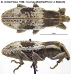 Female